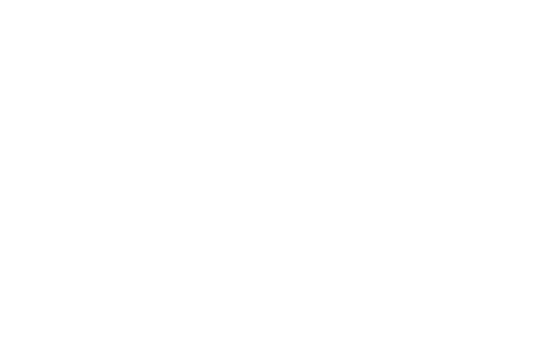 Magic Valley Web Design Logo White